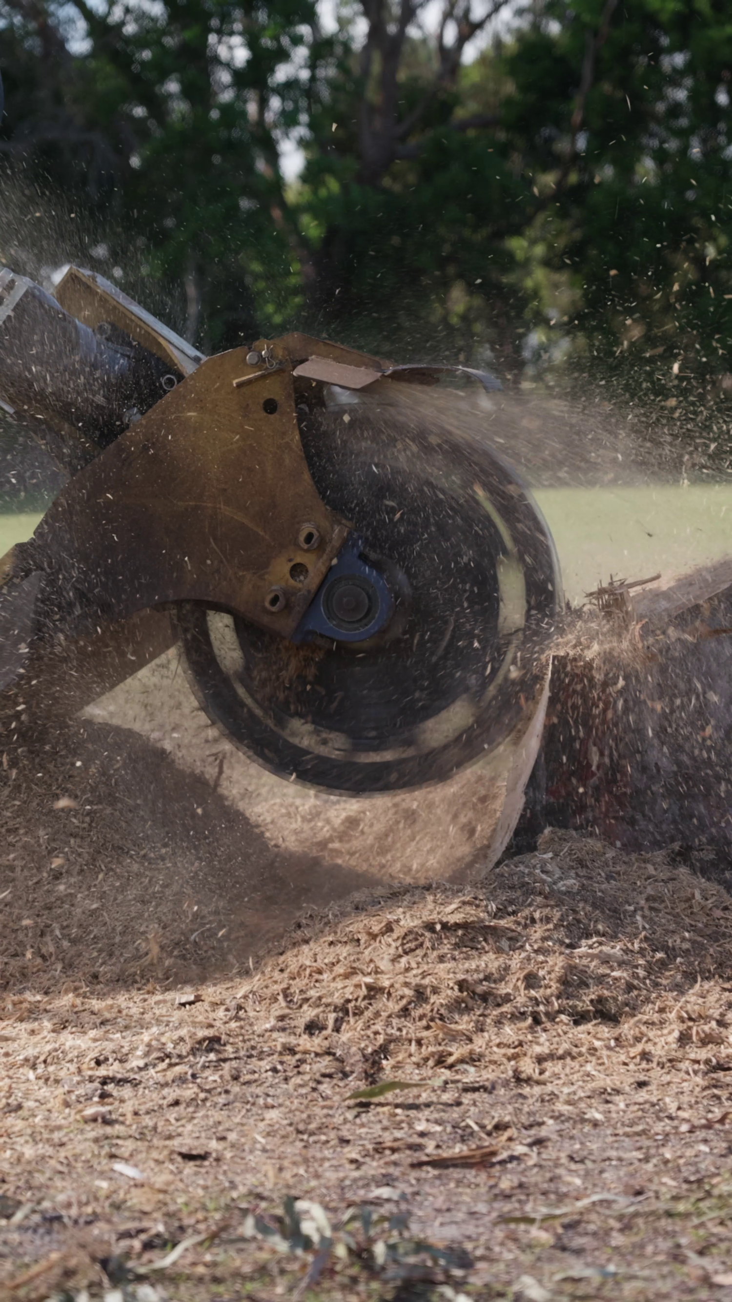 ACW24 - Suit Rayco RG-165